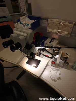 lote de  4 Microscópio Olympus 