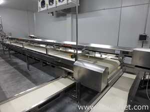 MIMSA Process Max Fruit Pulp Extraction Line
