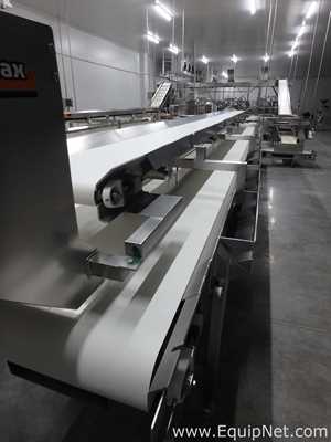 MIMSA Process Max Fruit Pulp Extraction Line