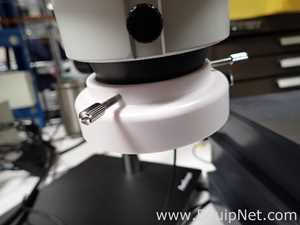 Microscópio AM Scope 