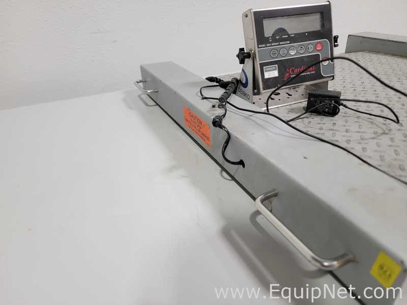 Cardinal Detecto RW-500 Scale with Cardinal Detecto 204 Digital Weight Indicator