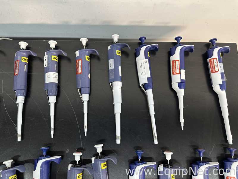 lote de   Pipetador Rainin 