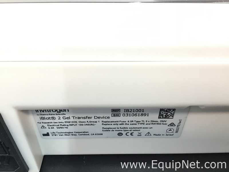 Electroforesis Invitrogen iBlot 2