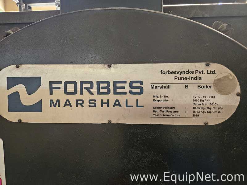 Aquecedor a Gás, Óleo, Carvão, Eletricidade Forbes Vyncke Pvt. Ltd. 2TPH