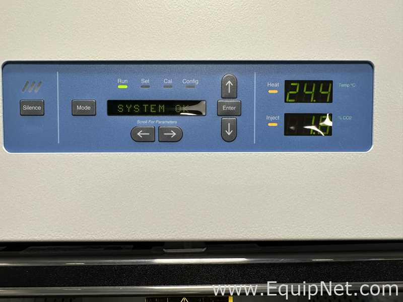 Incubadora Thermo Fisher Scientific 3950