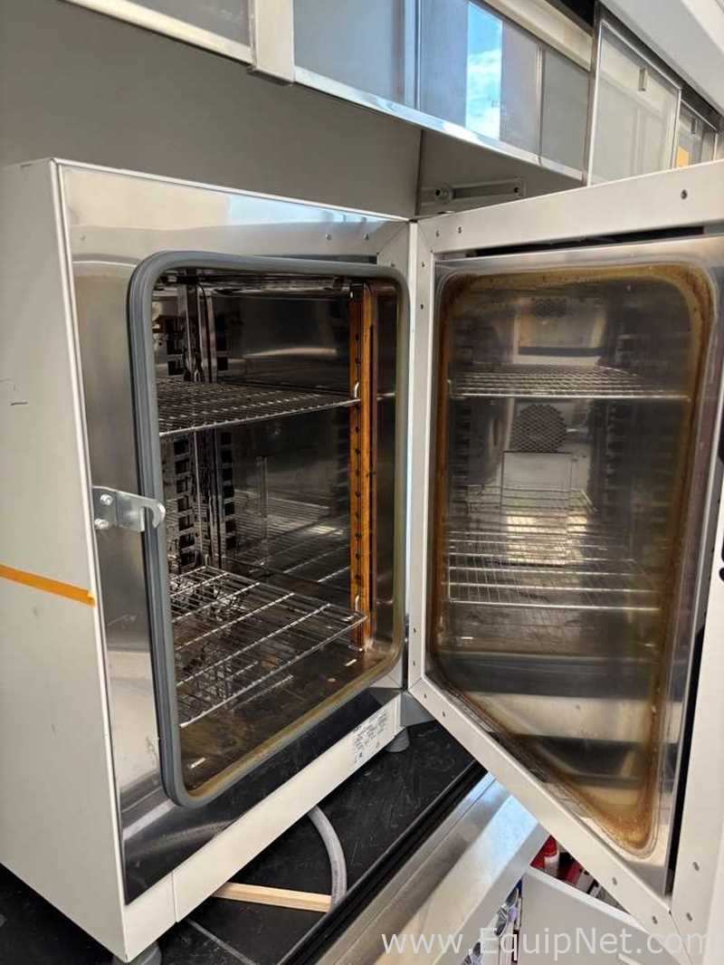Horno de Laboratorio Thermo Scientific Heratherm OMS60