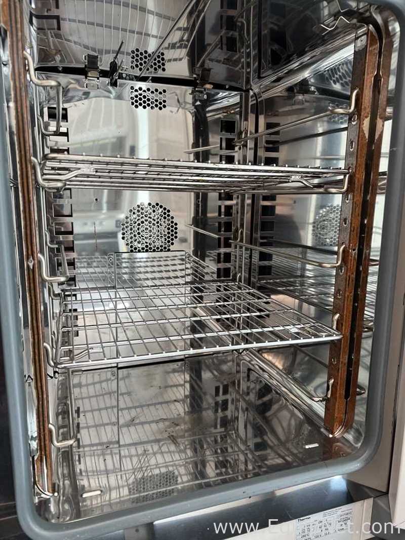 Horno de Laboratorio Thermo Scientific Heratherm OMS60