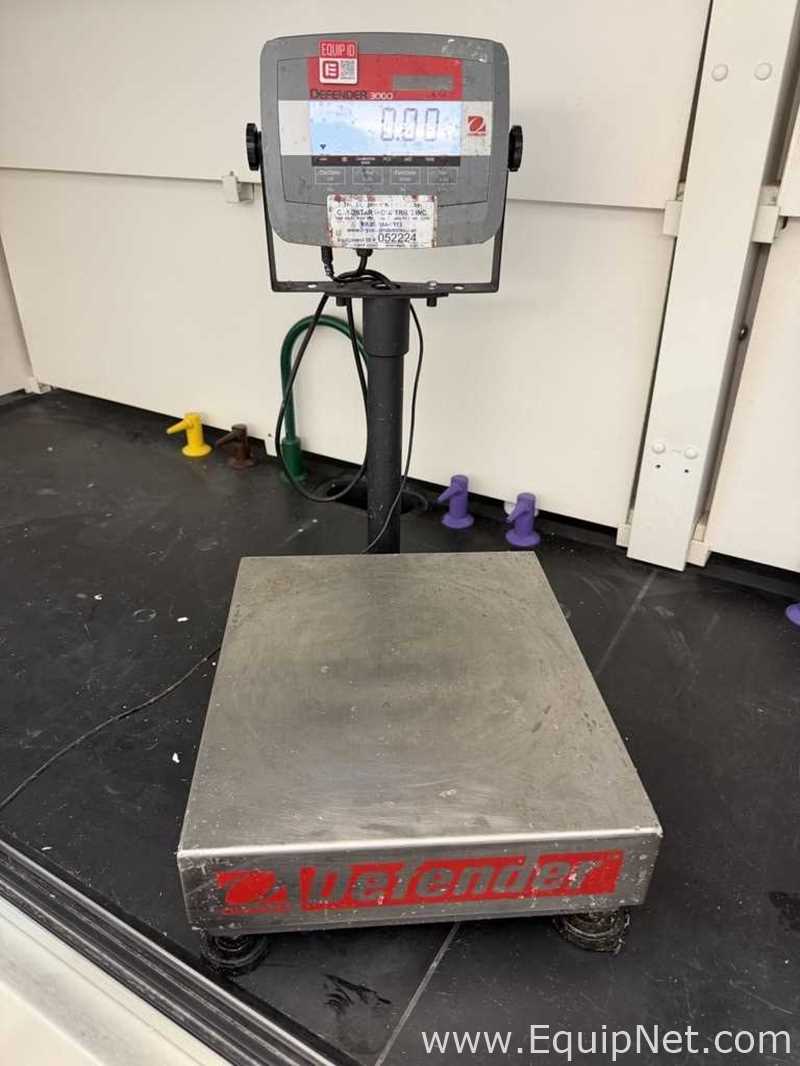 Ohaus T31P Floor Bench Scale