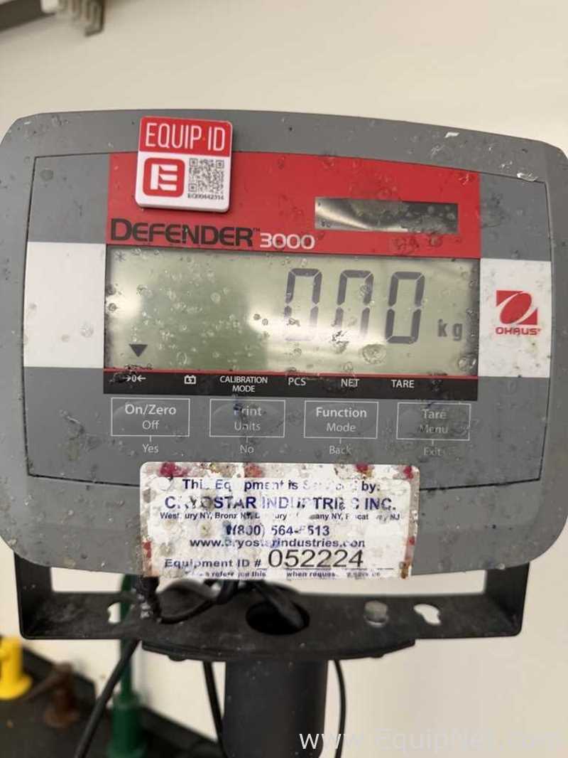 Ohaus T31P Floor Bench Scale