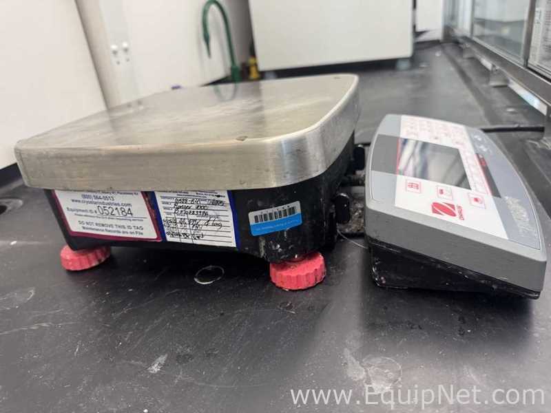 Ohaus Ranger 7000 R71MD6 Compact Bench Scale