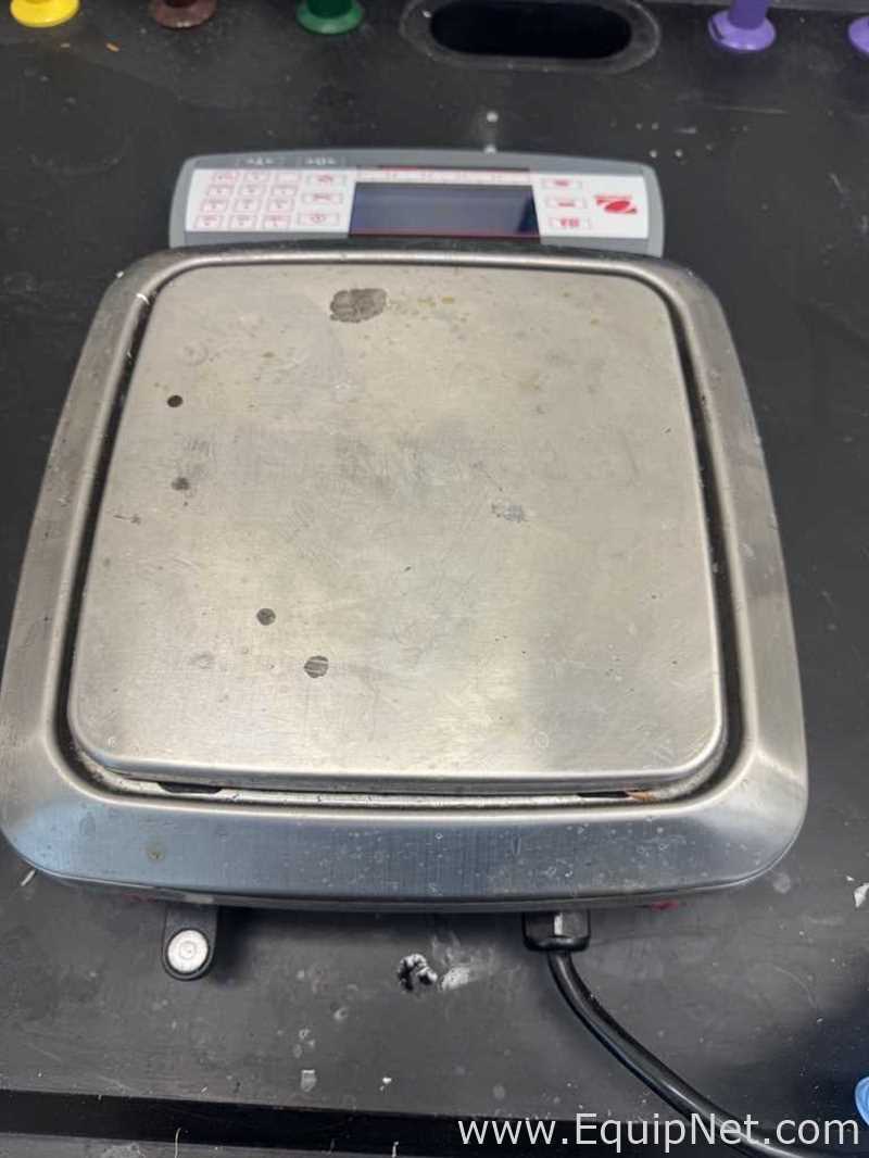 Ohaus Ranger 7000 R71MHD3 Compact Bench Scale