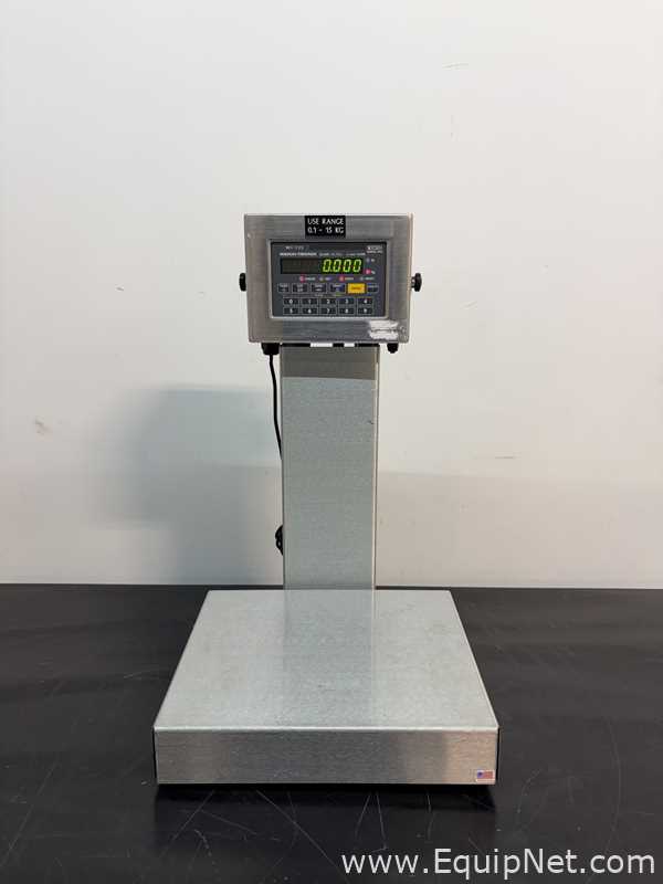 Weigh-Tronix WI-125 Scale
