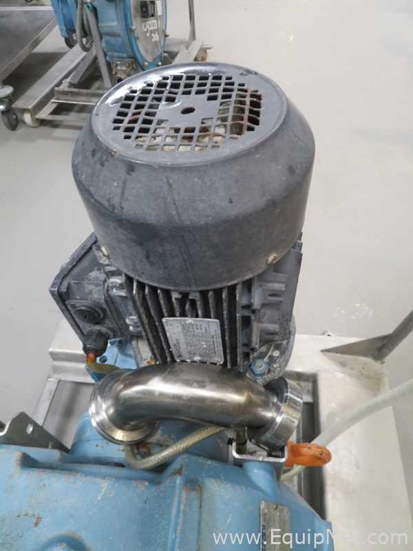 Bomba peristáltica Ragazzini srl Rotho MS0