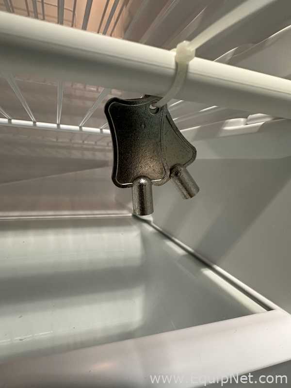 lote de  2 Unidade de Refrigeração Fisherbrand GTFBV05RPSA