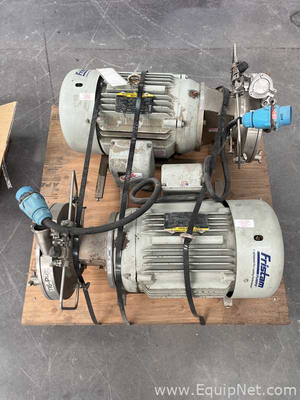 lote de   Bomba Sanitária Fristam FPR752-220