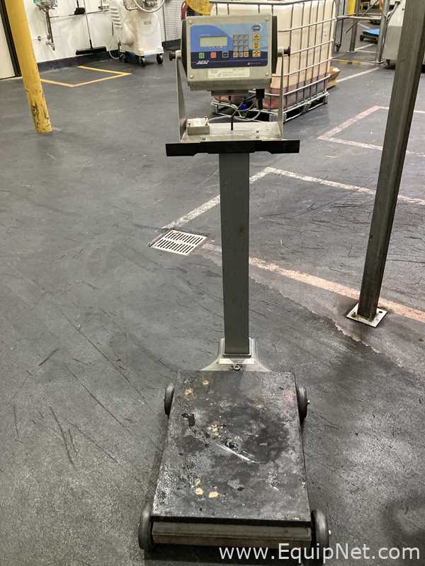 Báscula Fairbanks Scales Co H-90-3052D