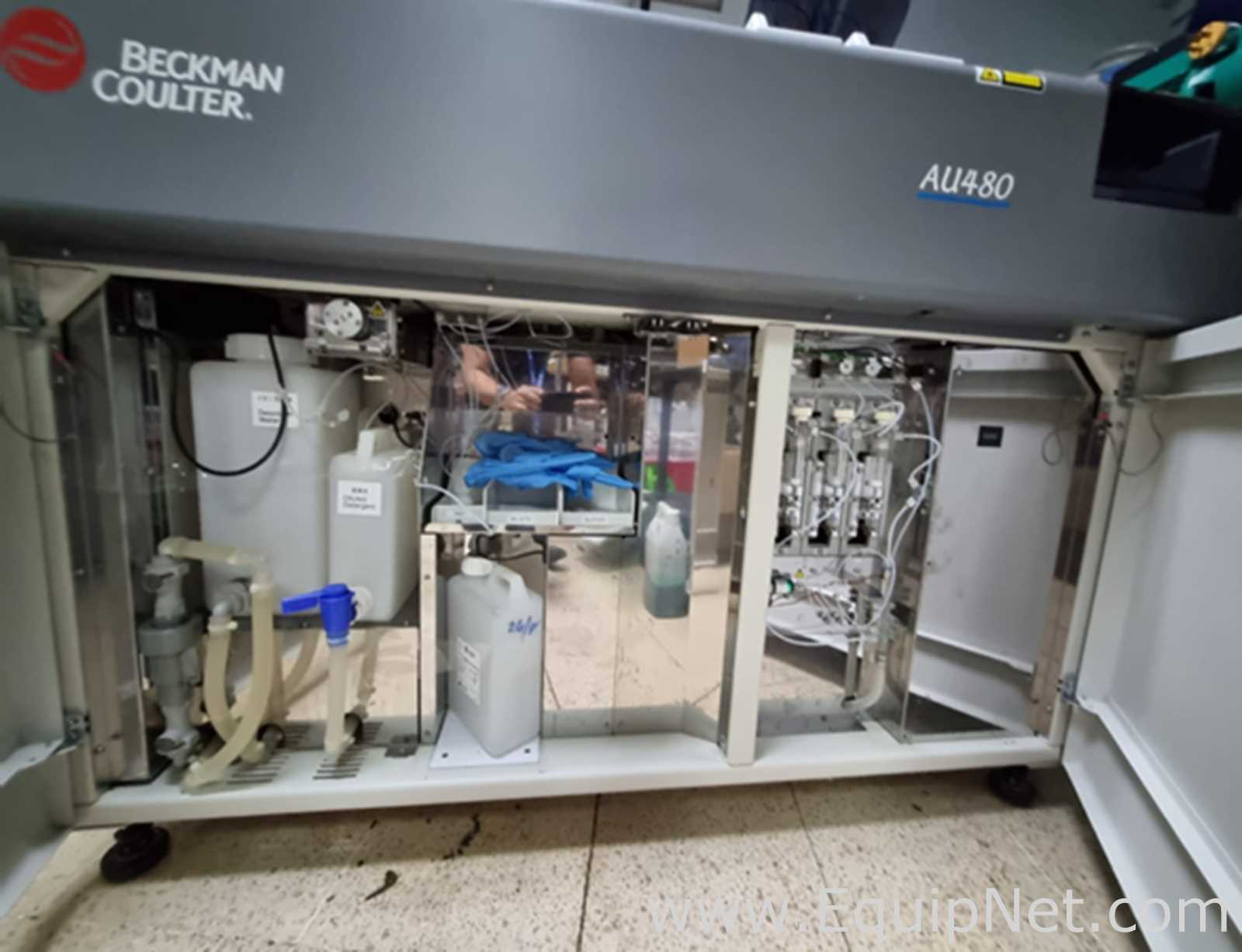 Beckman Coulter AU480 Clinical Chemistry Analyzer