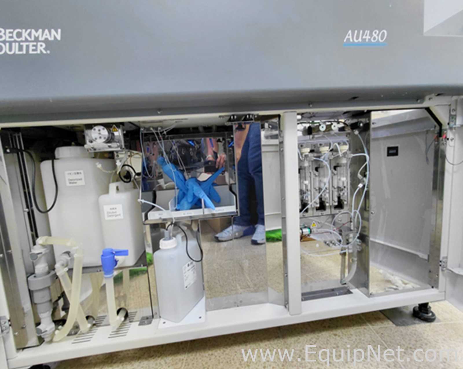 Beckman Coulter AU480 Clinical Chemistry Analyzer