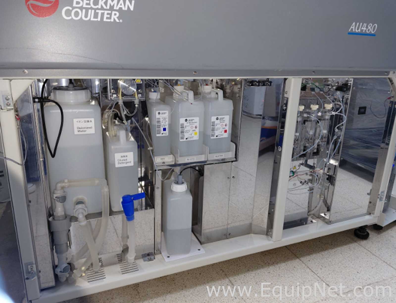 Beckman Coulter AU480 Clinical Chemistry Analyzer