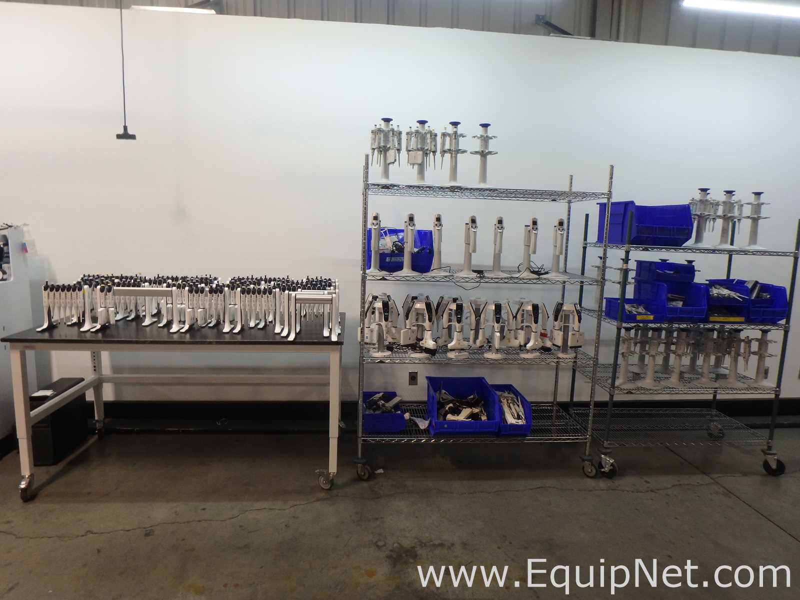 Massive Lot of approximately 300 Single and Multi-Chanel Pipettors Electronic and Manual