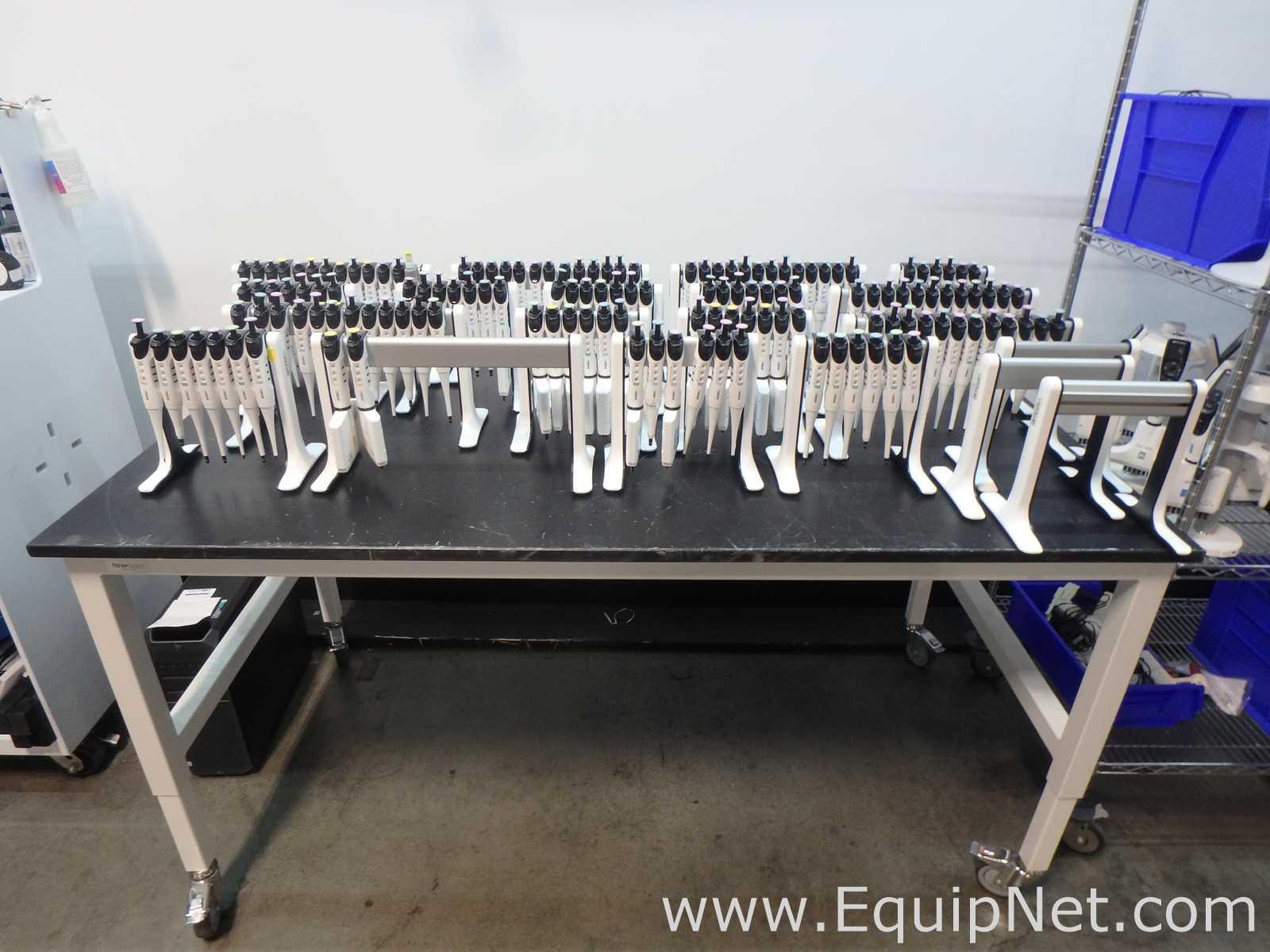 Massive Lot of approximately 300 Single and Multi-Chanel Pipettors Electronic and Manual