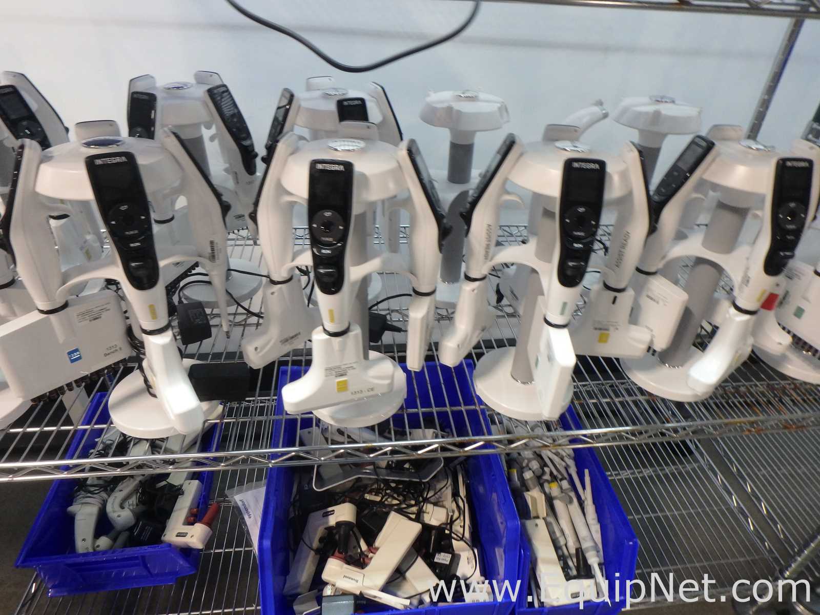 Massive Lot of approximately 300 Single and Multi-Chanel Pipettors Electronic and Manual