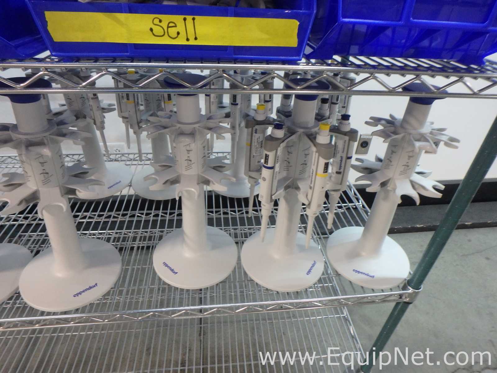Massive Lot of approximately 300 Single and Multi-Chanel Pipettors Electronic and Manual