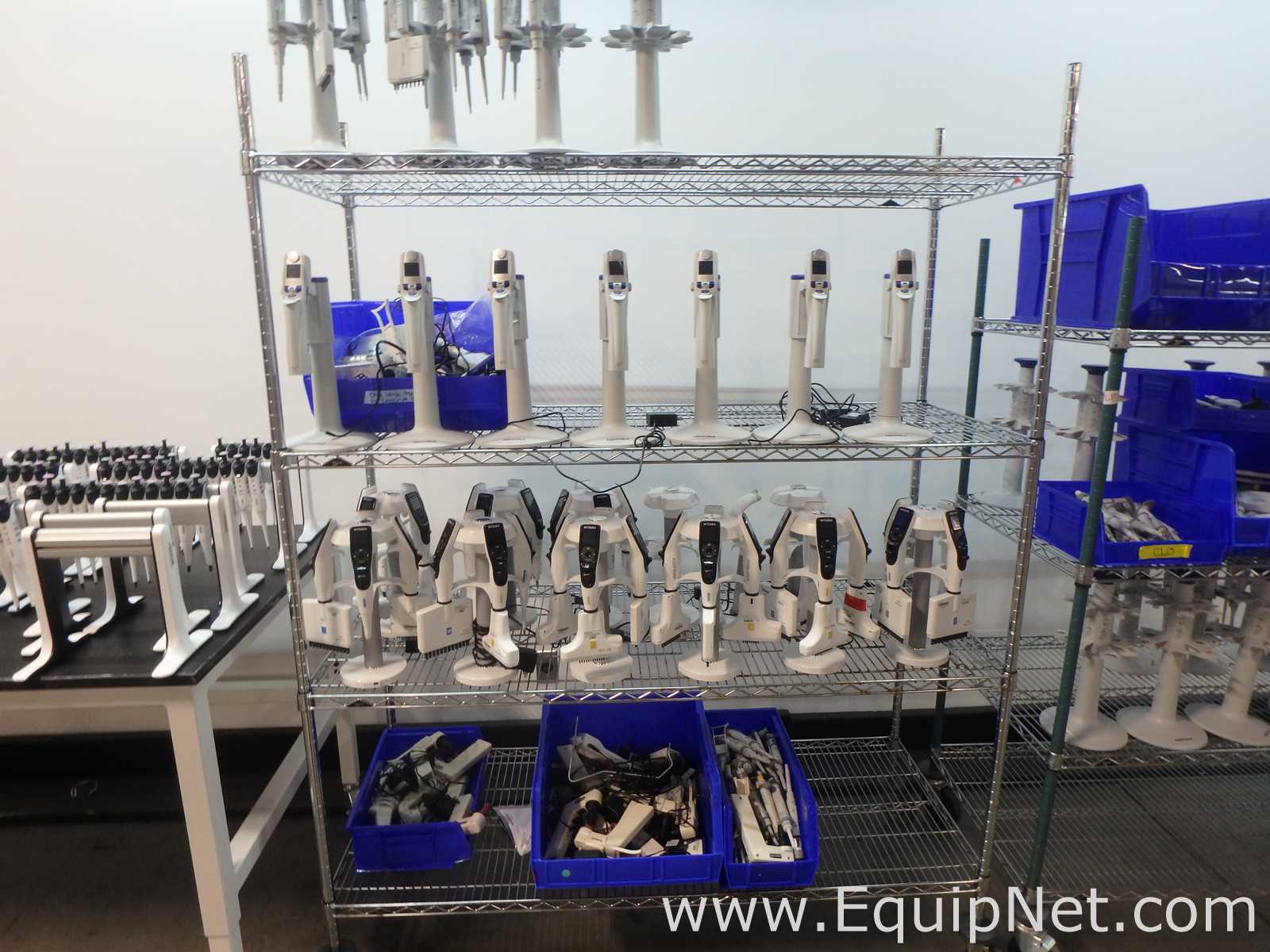 Massive Lot of approximately 300 Single and Multi-Chanel Pipettors Electronic and Manual
