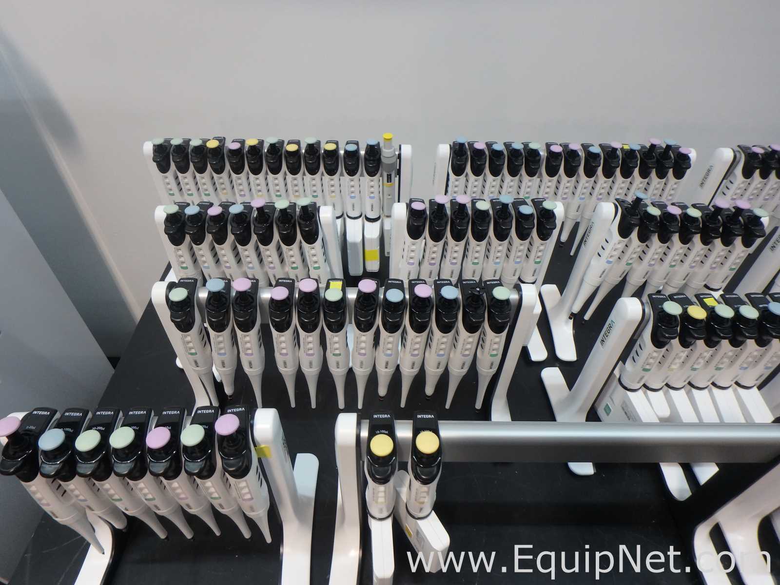 Massive Lot of approximately 300 Single and Multi-Chanel Pipettors Electronic and Manual