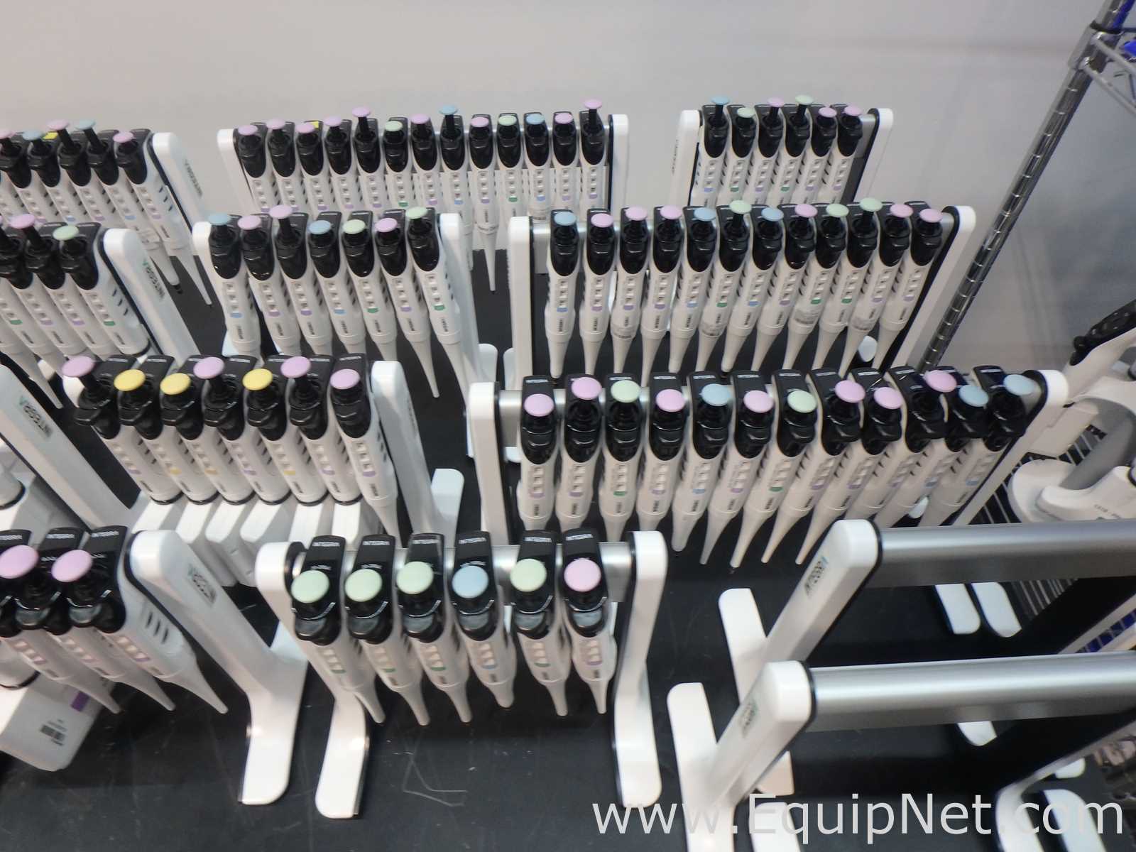 Massive Lot of approximately 300 Single and Multi-Chanel Pipettors Electronic and Manual