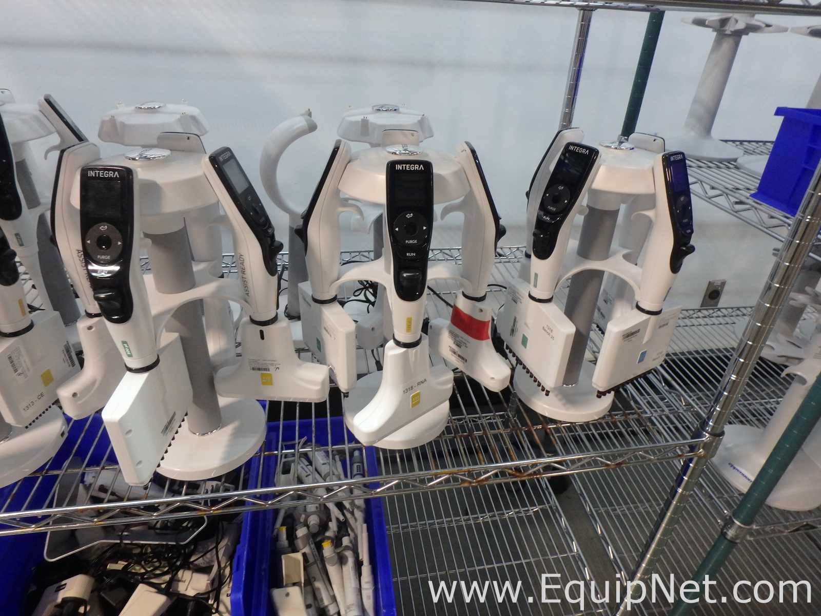 Massive Lot of approximately 300 Single and Multi-Chanel Pipettors Electronic and Manual