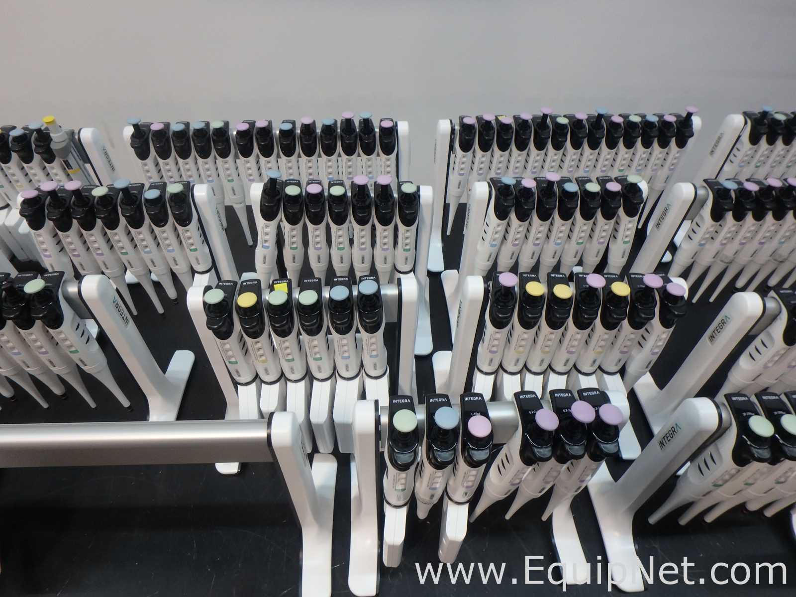 Massive Lot of approximately 300 Single and Multi-Chanel Pipettors Electronic and Manual