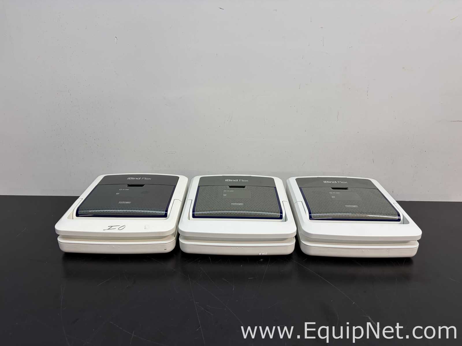 lote de  3 Sistema de Eletroforese Invitrogen Ibind Flex