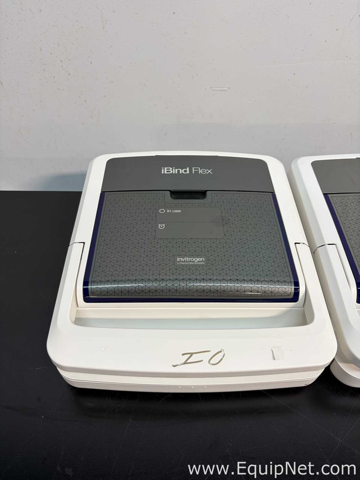 lote de  3 Sistema de Eletroforese Invitrogen Ibind Flex