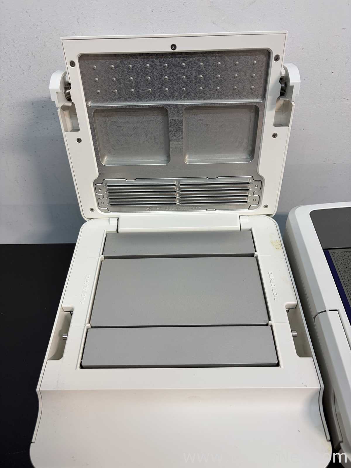 lote de  3 Sistema de Eletroforese Invitrogen Ibind Flex