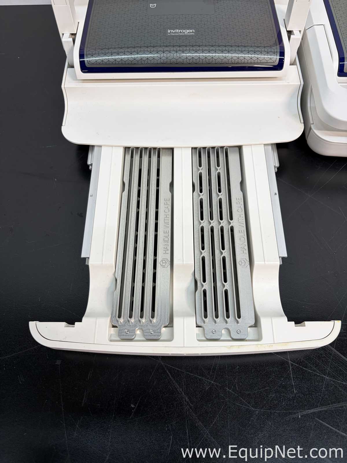 lote de  3 Sistema de Eletroforese Invitrogen Ibind Flex