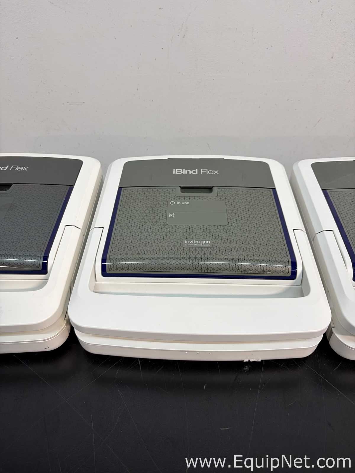 lote de  3 Sistema de Eletroforese Invitrogen Ibind Flex