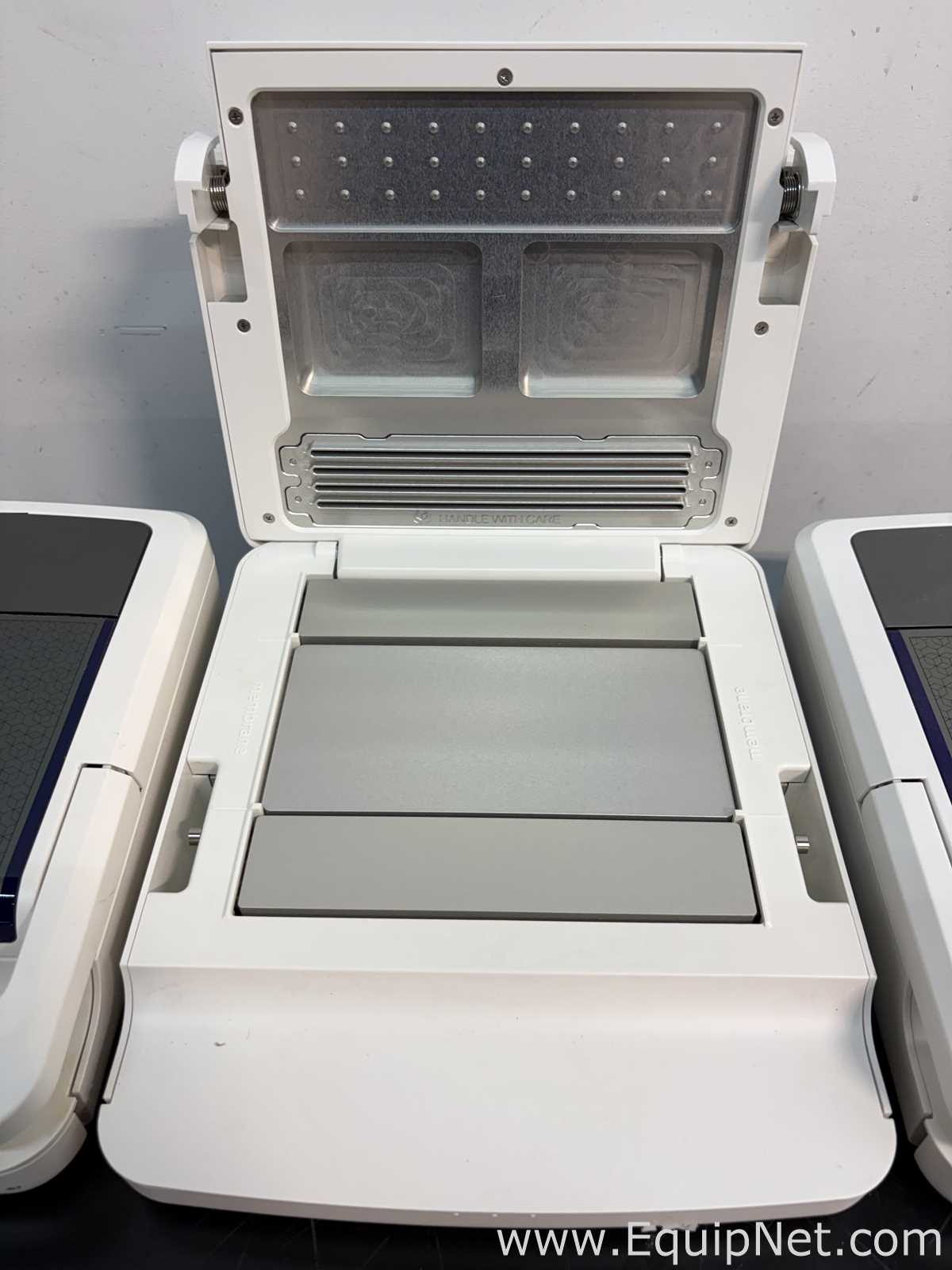 lote de  3 Sistema de Eletroforese Invitrogen Ibind Flex