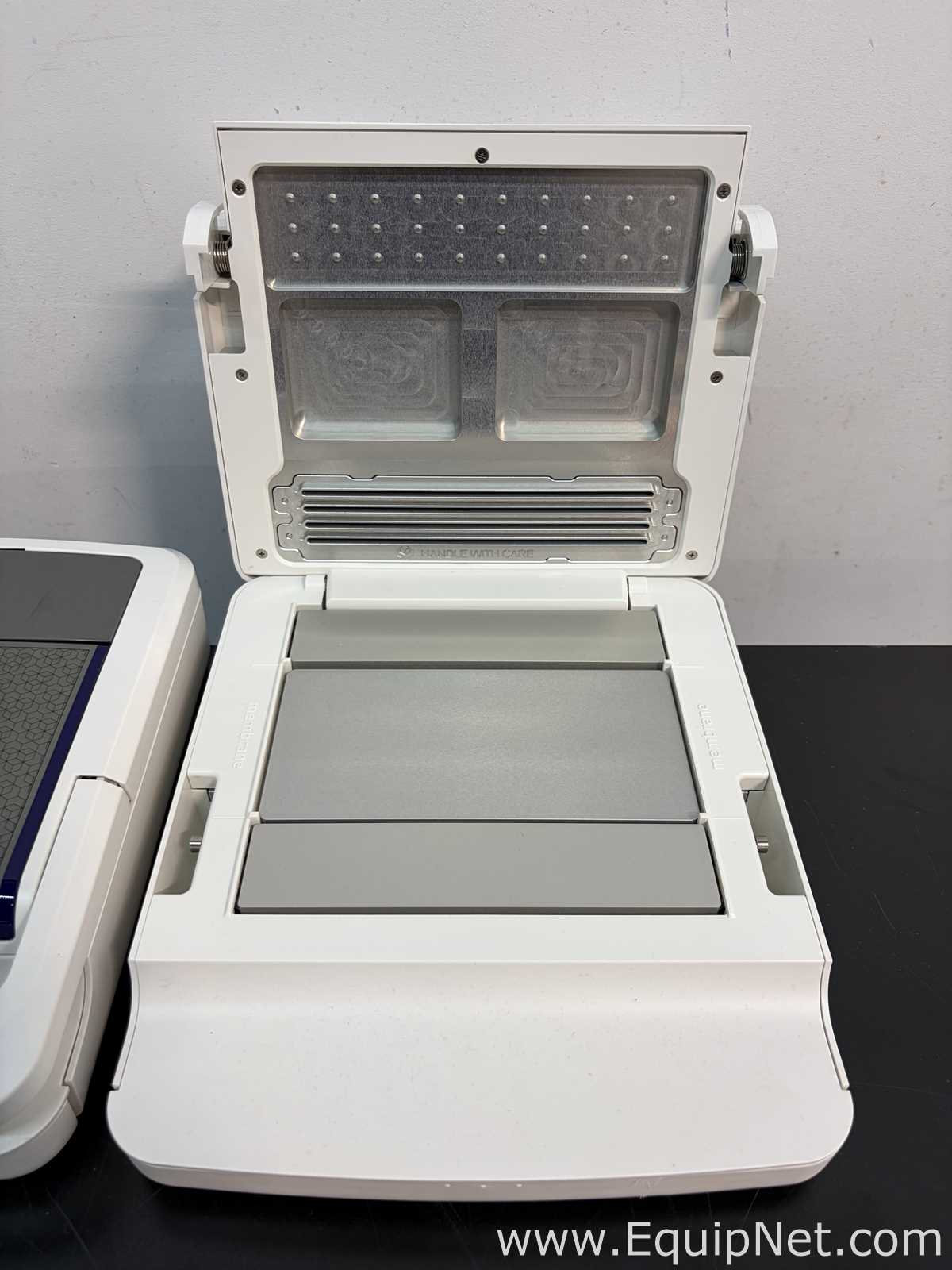 lote de  3 Sistema de Eletroforese Invitrogen Ibind Flex