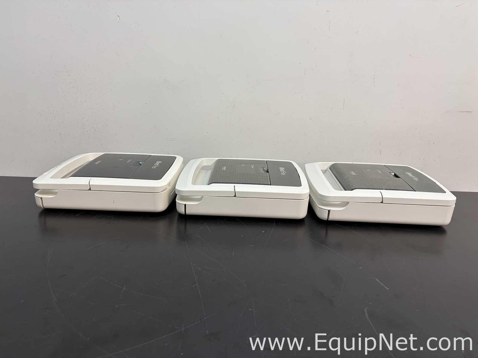 lote de  3 Sistema de Eletroforese Invitrogen Ibind Flex
