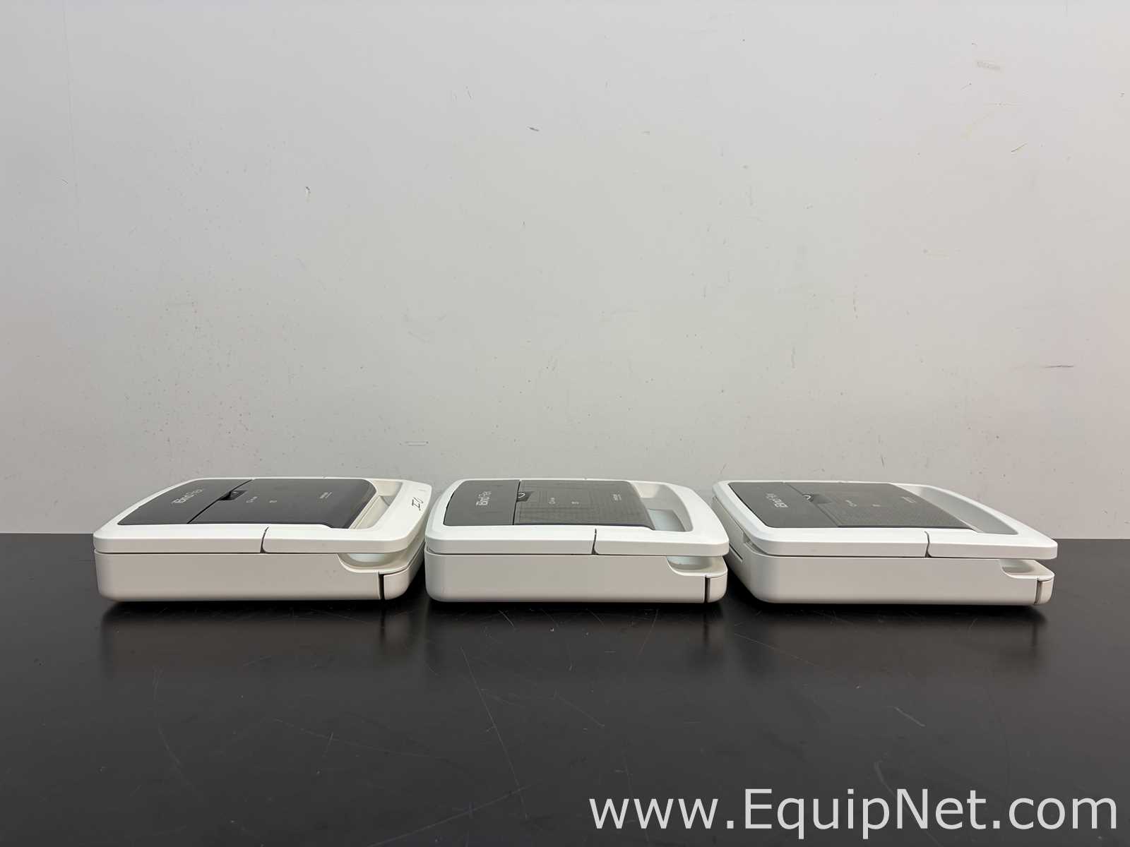 lote de  3 Sistema de Eletroforese Invitrogen Ibind Flex