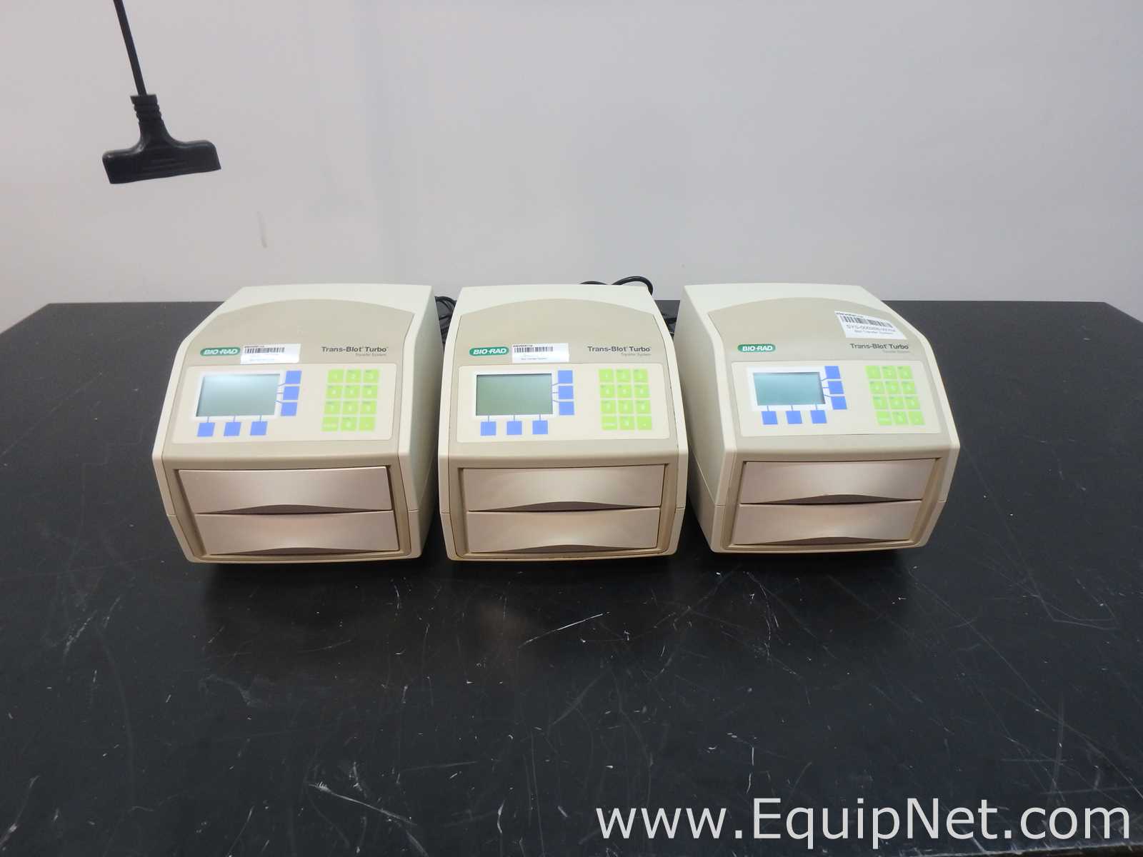 Lot of 3 Bio Rad Trans Blot Turbo Systems
