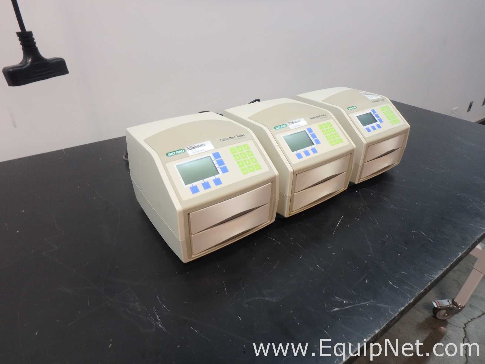 Lot of 3 Bio Rad Trans Blot Turbo Systems