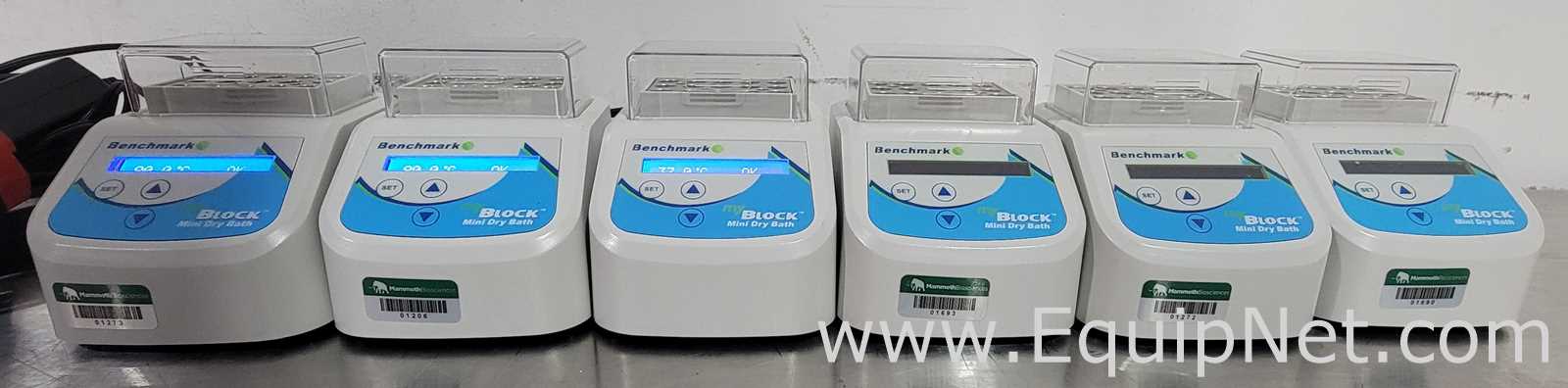 Baño Seco / Bloque Caliente Benchmark  Lot of 6 BSH200