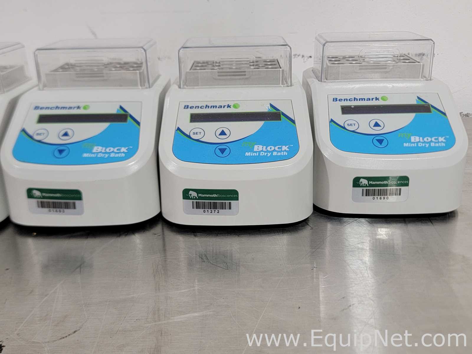 Baño Seco / Bloque Caliente Benchmark  Lot of 6 BSH200