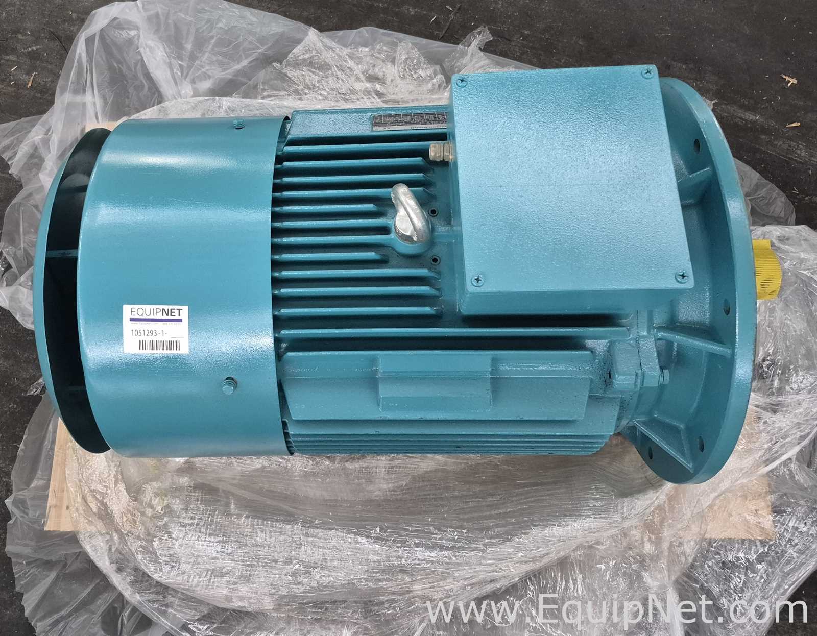 Motor AC Motoren GmbH FCM 250M-4/HE