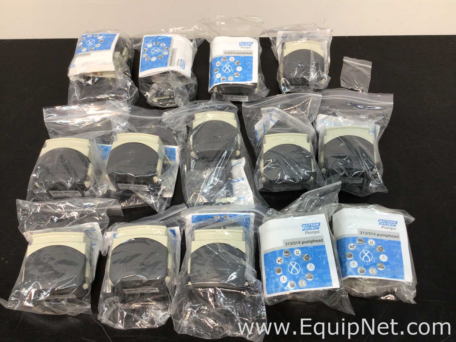 Lote de 14 Bomba de Laboratorio Watson Marlow 314D2 Pumphead