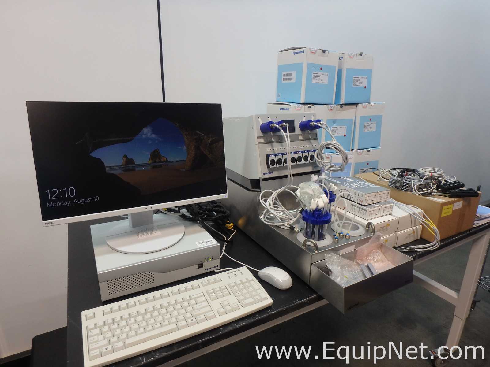 Biorreactor Eppendorf DASBOX 