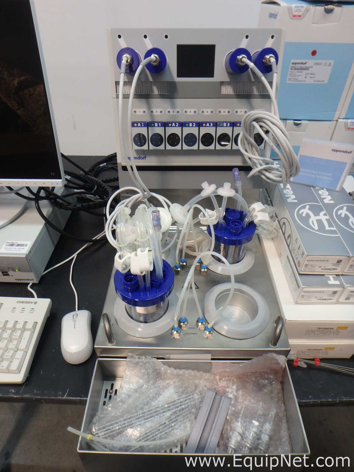 Biorreactor Eppendorf DASBOX 