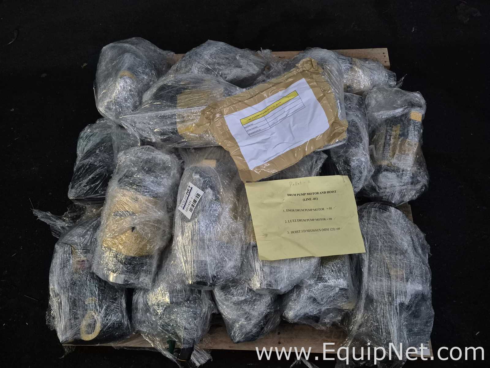 Lot of Line 1 - Drum Pump Motor and Air Hoist - Pallet No 79